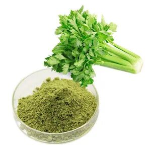 تصویر 3 از کرفس خشک با کیفیت بالا مناسب برای استفاده در صنایع غذایی